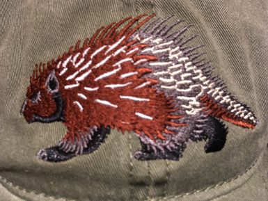 Porcupine Embroidered Hat